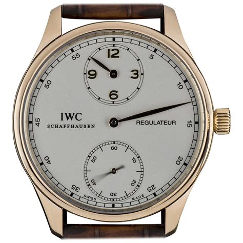 IWC Platinum Watches 